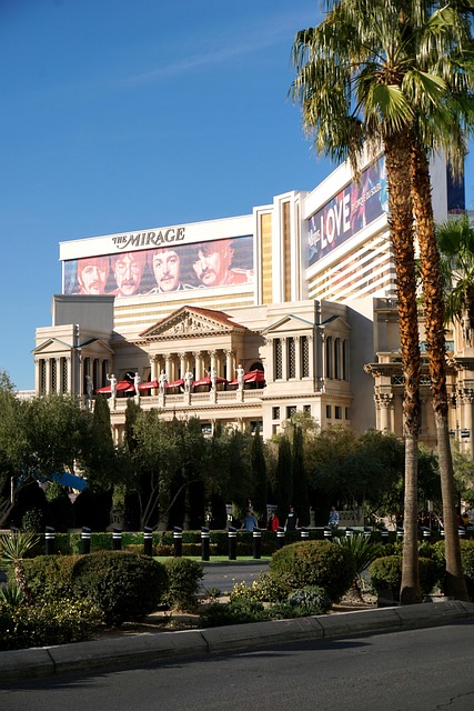 Beginner Casino Guide