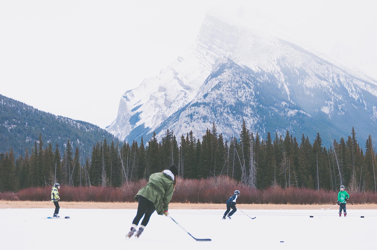 ice hockey rink