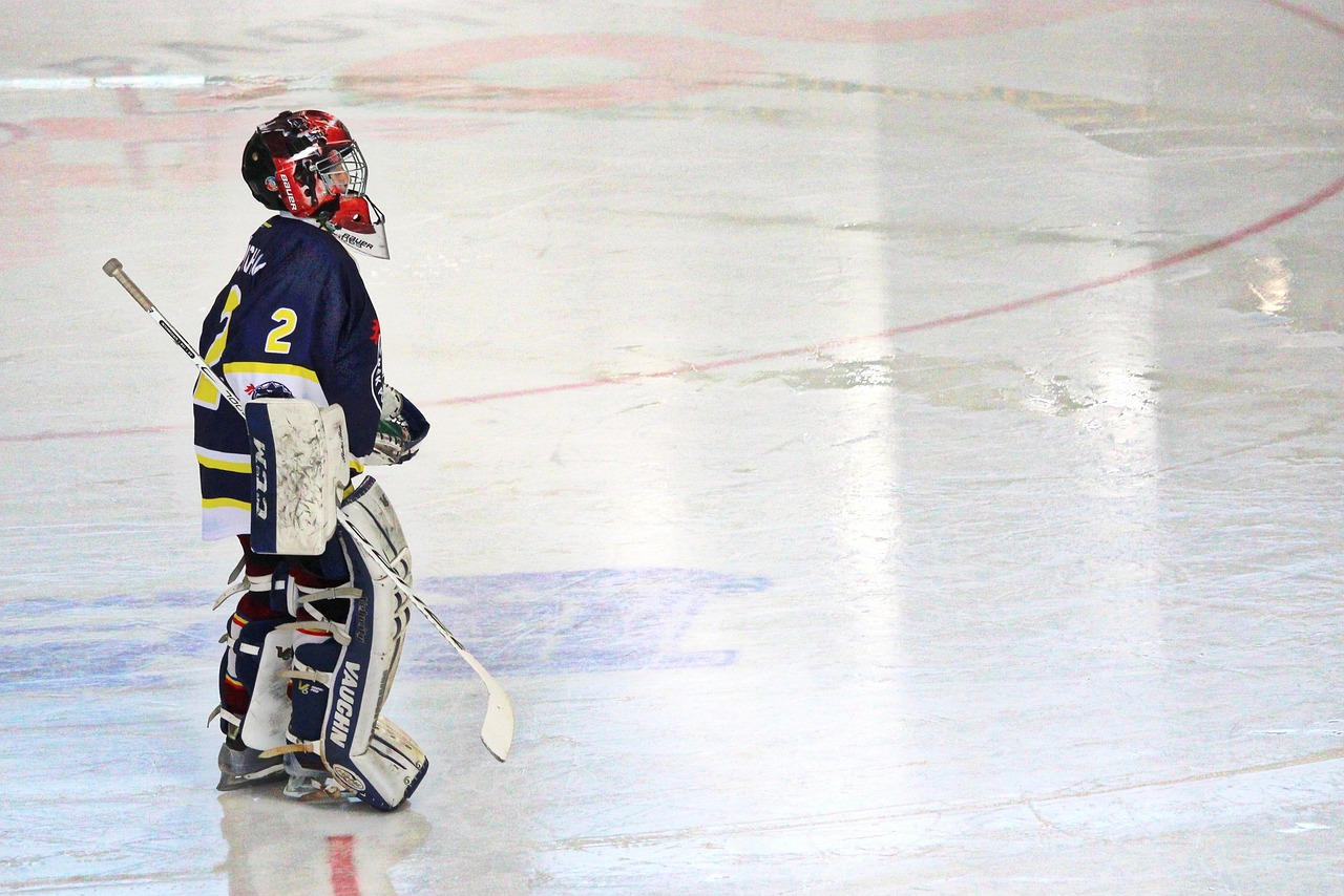 ice hockey rink