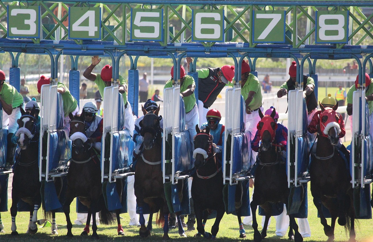 sports betting
