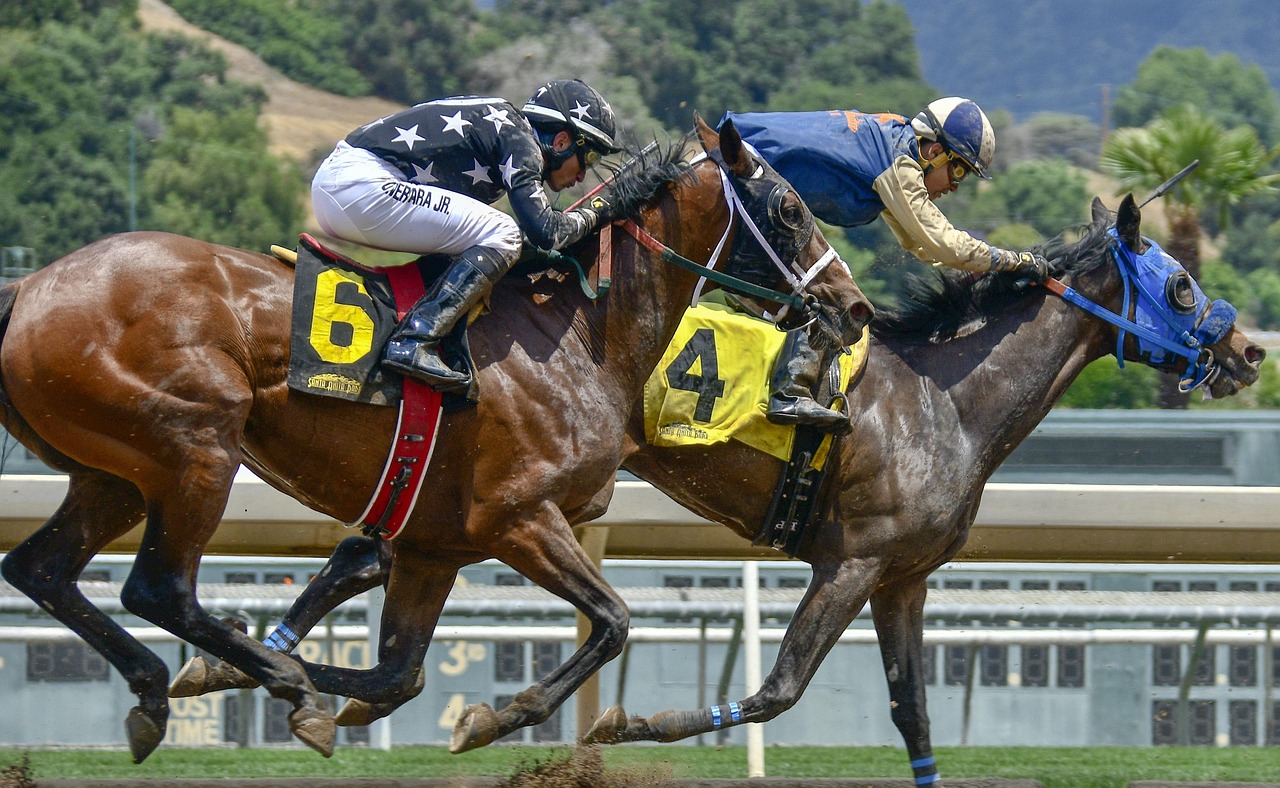 sports betting